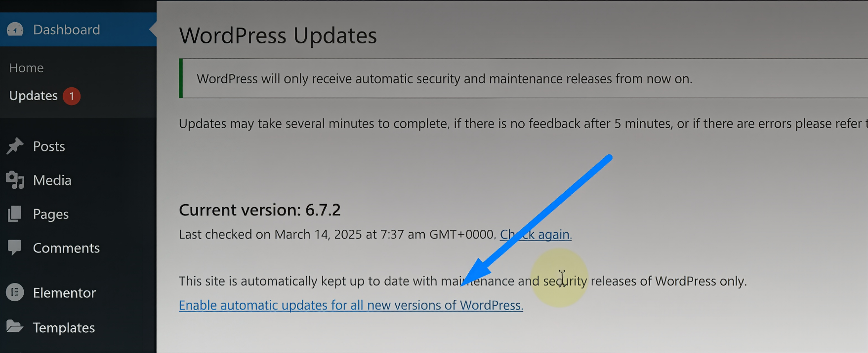 Enable WordPress Automatic Update