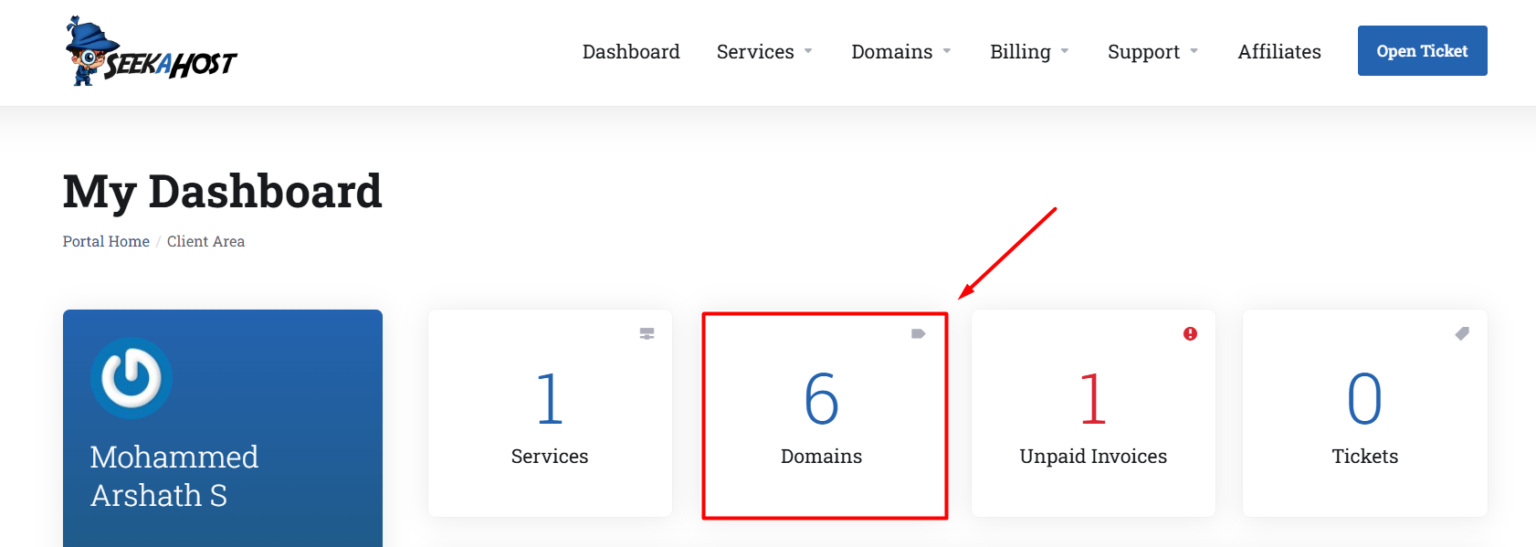 How to Set Up Google Workspace with SeekaHost Domain