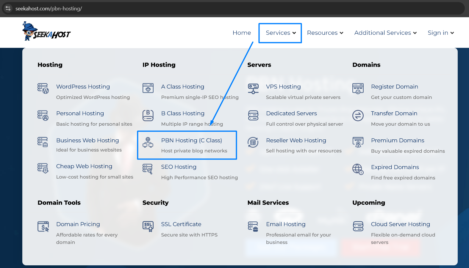 PBN Hosting Service
