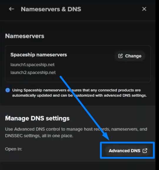 Advanced DNS - spaceship