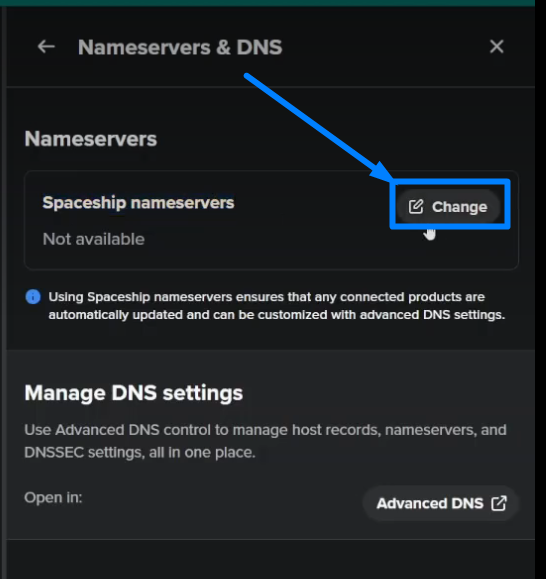 Change Nameservers - spaceship