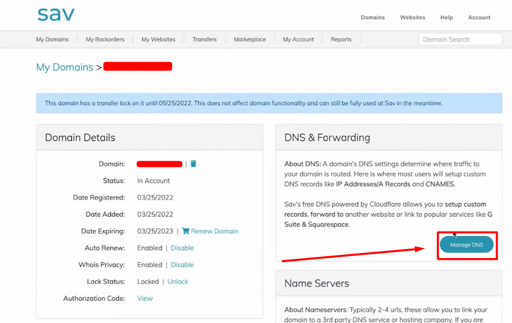 Manage DNS Domain - Sav Registrar