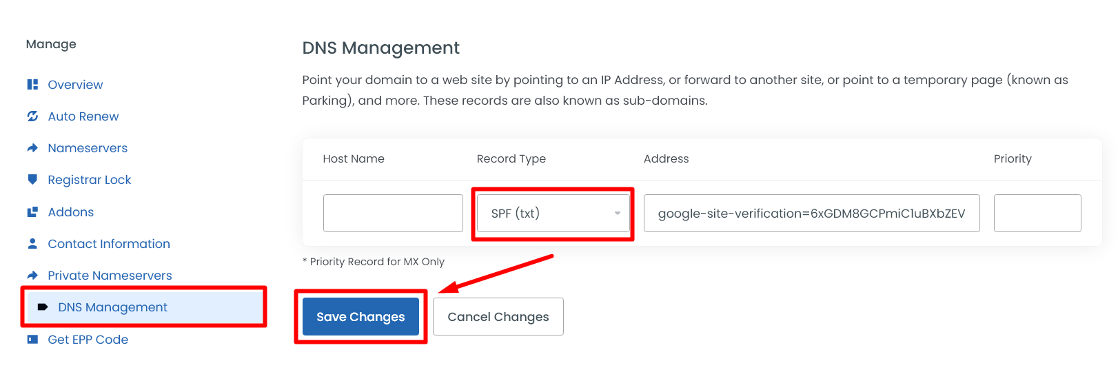TXT Record Update Domain - GSuite