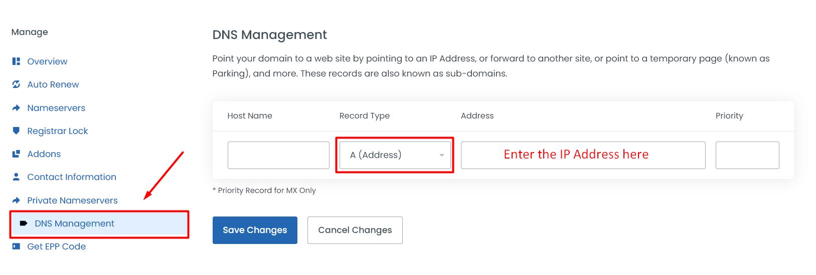 Update A Record in Domain