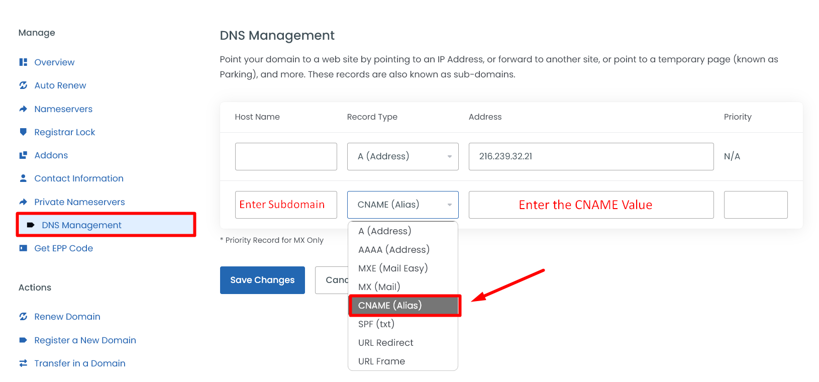 Update CNAME Record in Domain