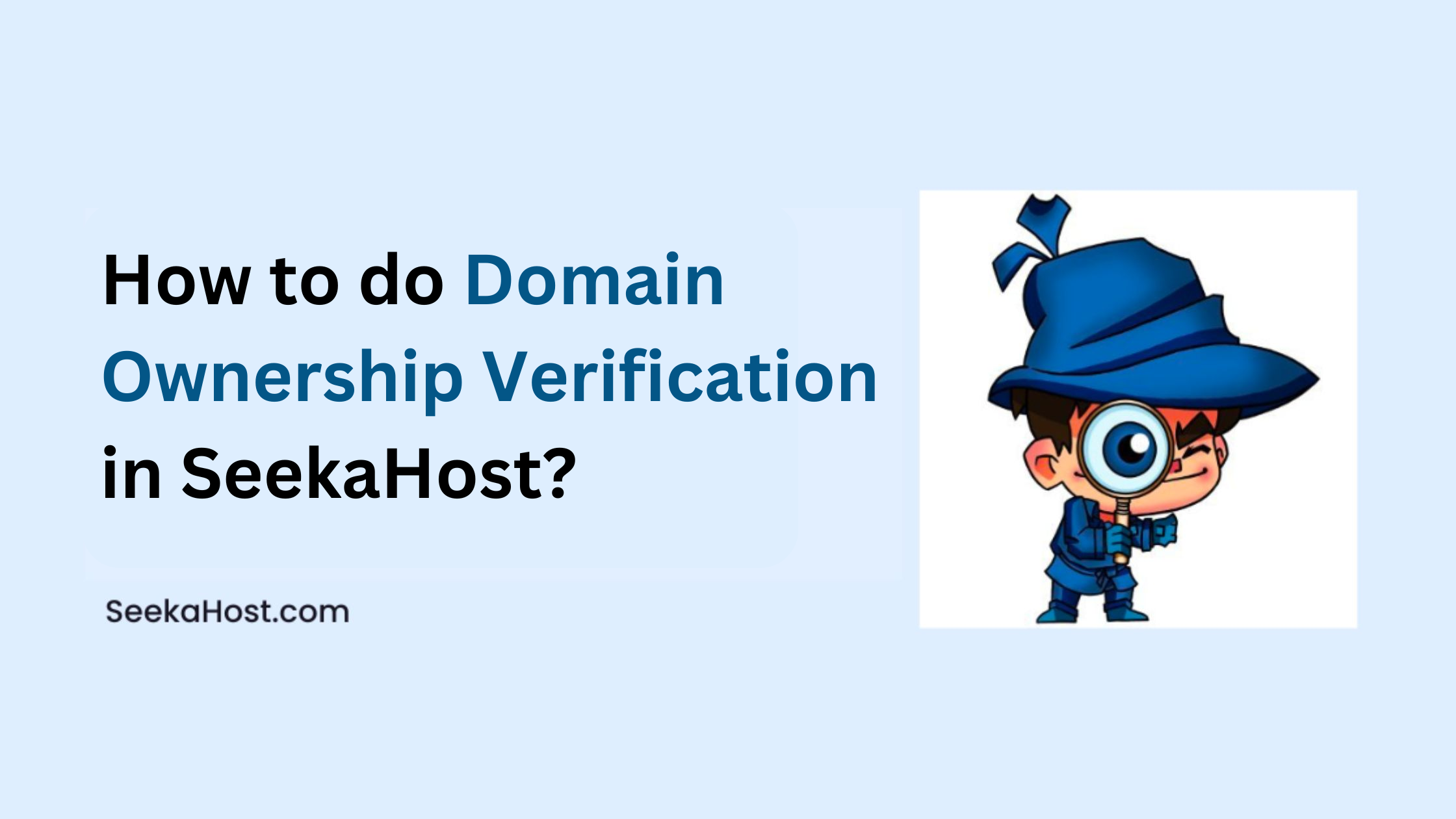 How to do Domain Ownership Verification in SeekaHost