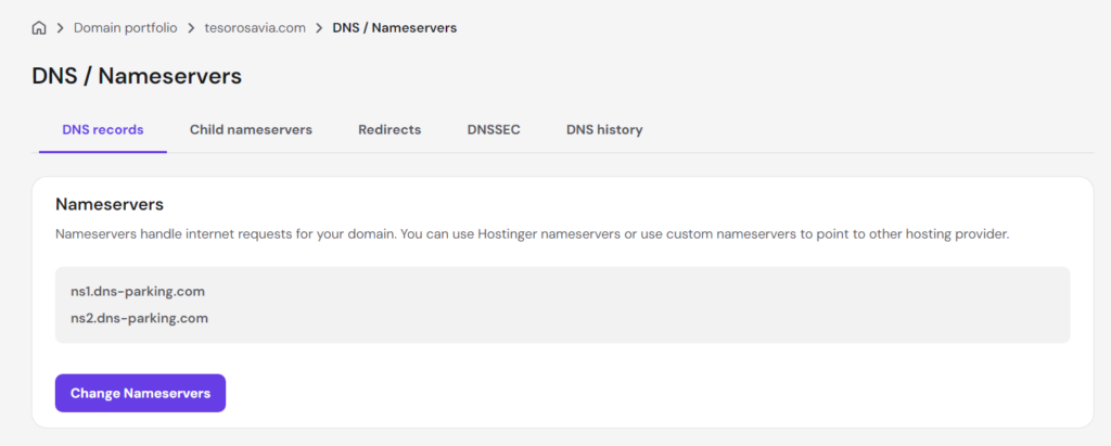 Hostinger Change Nameserver option