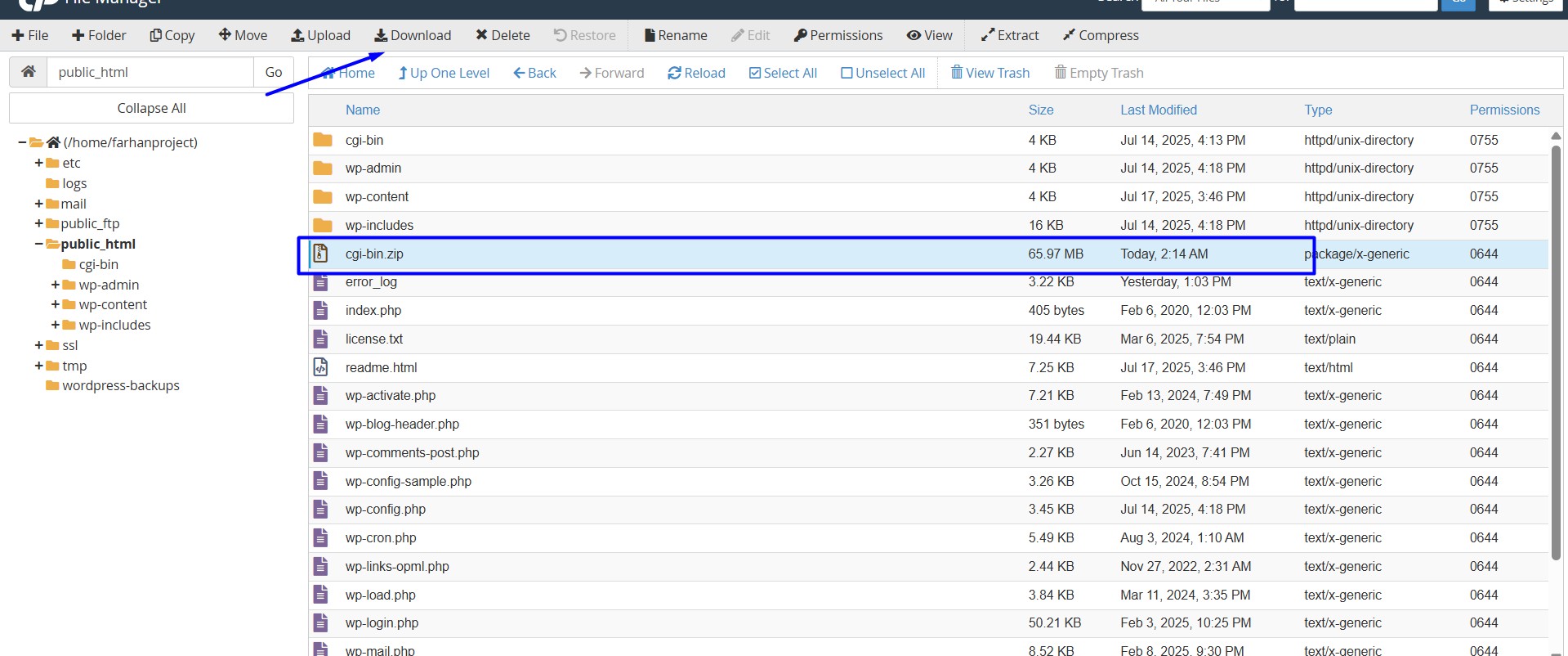 Download zip file
