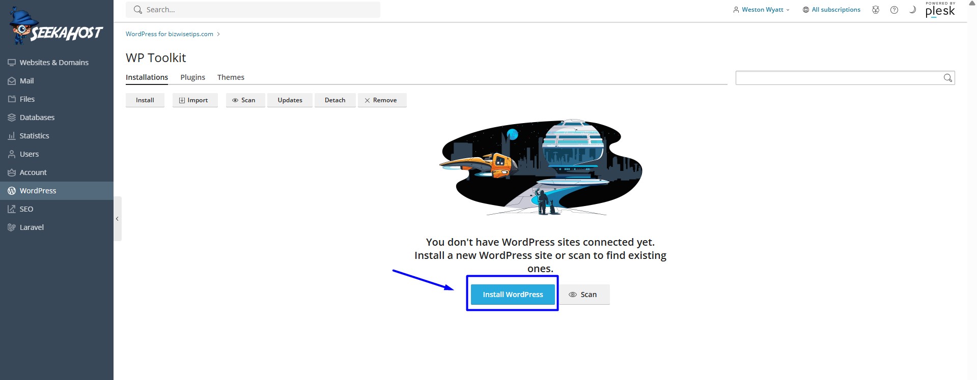 Click Install WordPress in Plesk