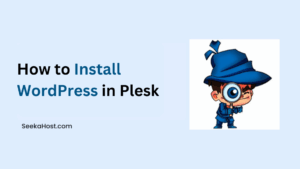 How to Install WordPress in Plesk
