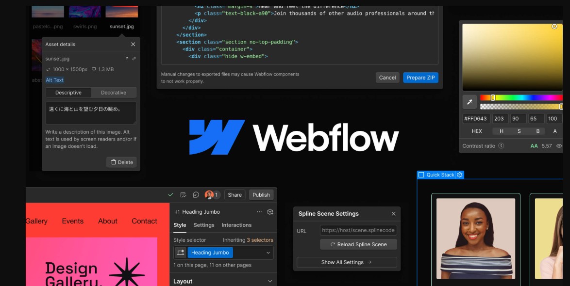 Webflow overview