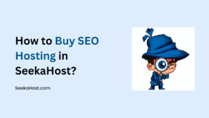 Buy SEO Hosting in SeekaHost