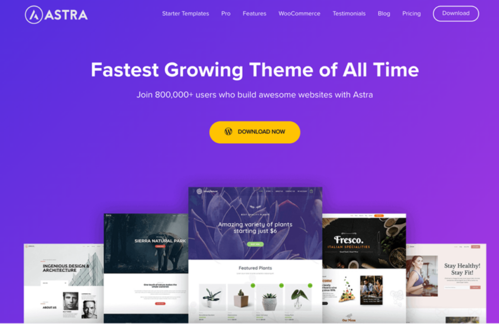 Astra WordPress Theme