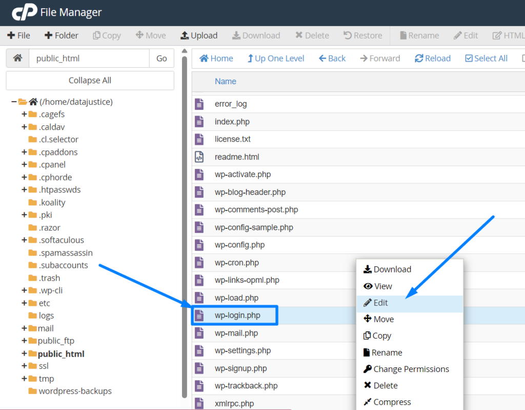 Edit wp login php file
